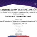 Acercar imagen: certificate 61