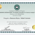 Acercar imagen: certificate 8