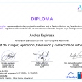 Acercar imagen: certificate 12