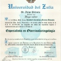 Acercar imagen: certificate 8
