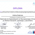 Acercar imagen: certificate 3