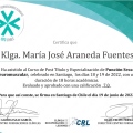 Acercar imagen: certificate 3