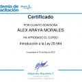 Acercar imagen: certificate 52