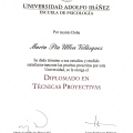 Acercar imagen: certificate 2