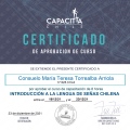 Acercar imagen: certificate 29