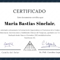 Acercar imagen: certificate 1
