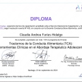 Acercar imagen: certificate 13