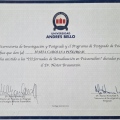 Acercar imagen: certificate 6