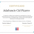 Acercar imagen: certificate 2