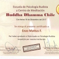 Acercar imagen: certificate 4
