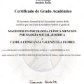Acercar imagen: certificate 4