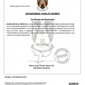 Acercar imagen: certificate 2