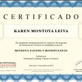 Acercar imagen: certificate 2