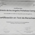 Acercar imagen: certificate 9