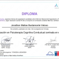 Acercar imagen: certificate 2