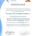 Acercar imagen: certificate 1