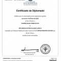 Acercar imagen: certificate 2