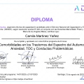 Acercar imagen: certificate 21