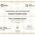 Acercar imagen: certificate 16