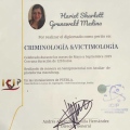 Acercar imagen: certificate 4
