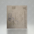 Acercar imagen: certificate 9