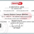 Acercar imagen: certificate 9