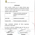 Acercar imagen: certificate 5