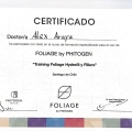 Acercar imagen: certificate 7