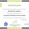 Acercar imagen: certificate 2