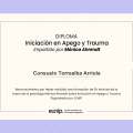 Acercar imagen: certificate 77