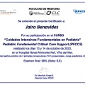 Acercar imagen: certificate 3