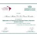 Acercar imagen: certificate 5