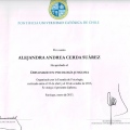 Acercar imagen: certificate 2