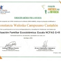 Acercar imagen: certificate 9