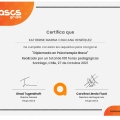 Acercar imagen: certificate 2