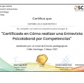 Acercar imagen: certificate 11