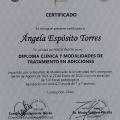 Acercar imagen: certificate 2