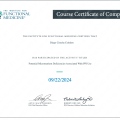 Acercar imagen: certificate 2