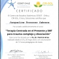 Acercar imagen: certificate 17