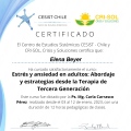 Acercar imagen: certificate 1