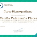 Acercar imagen: certificate 1