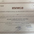 Acercar imagen: certificate 10
