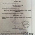 Acercar imagen: certificate 14
