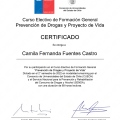 Acercar imagen: certificate 20