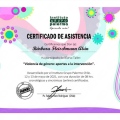 Acercar imagen: certificate 13