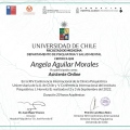 Acercar imagen: certificate 7