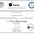 Acercar imagen: certificate 5