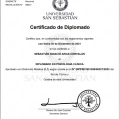 Acercar imagen: certificate 1