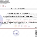 Acercar imagen: certificate 2
