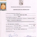 Acercar imagen: certificate 3